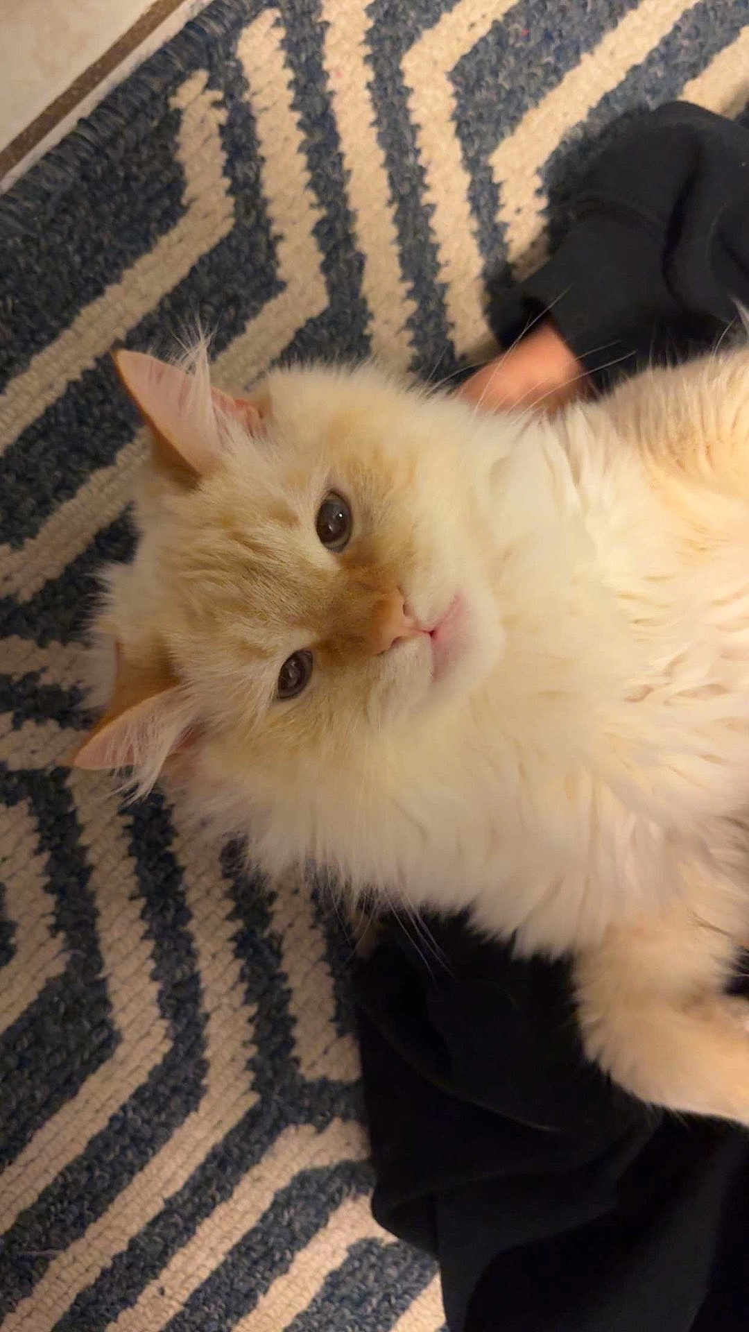 Casper