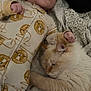 baby, cat, infant, blanket, onesie, lion_pattern, fluffy_cat, lying_down, resting, indoor, soft_texture, cute, comfort, bonding, pet, sleepy, cozy, animal, child, closeup
