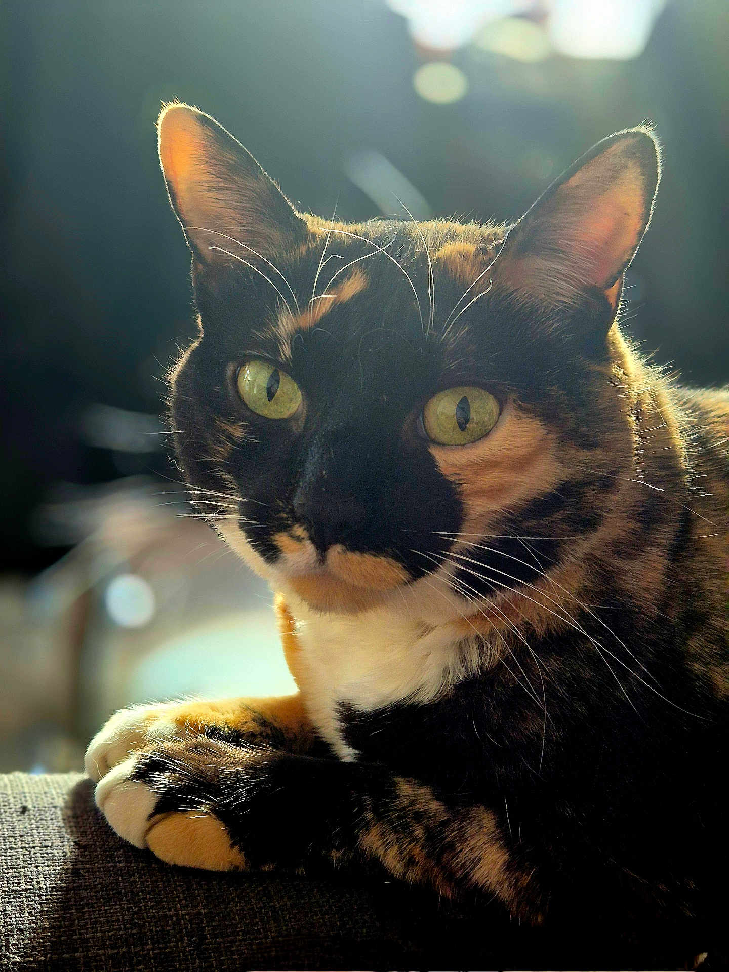 Princesse