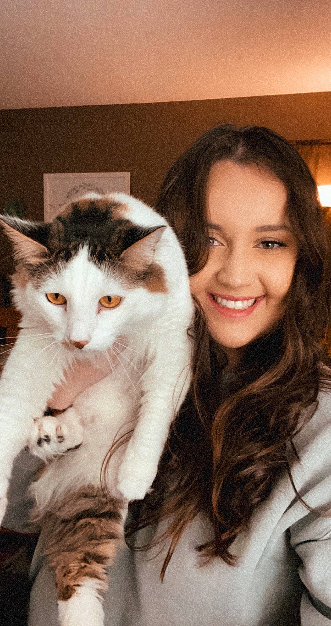 Maylee joined the competition — help win amazing prizes! beard, carnivore, cat, ear, eye, eyebrow, eyelash, felidae, flash_photography, gesture, happy, iris, jaw, long_hair, moustache, nose, small_to_medium_sized_cats, smile, snout, whiskers