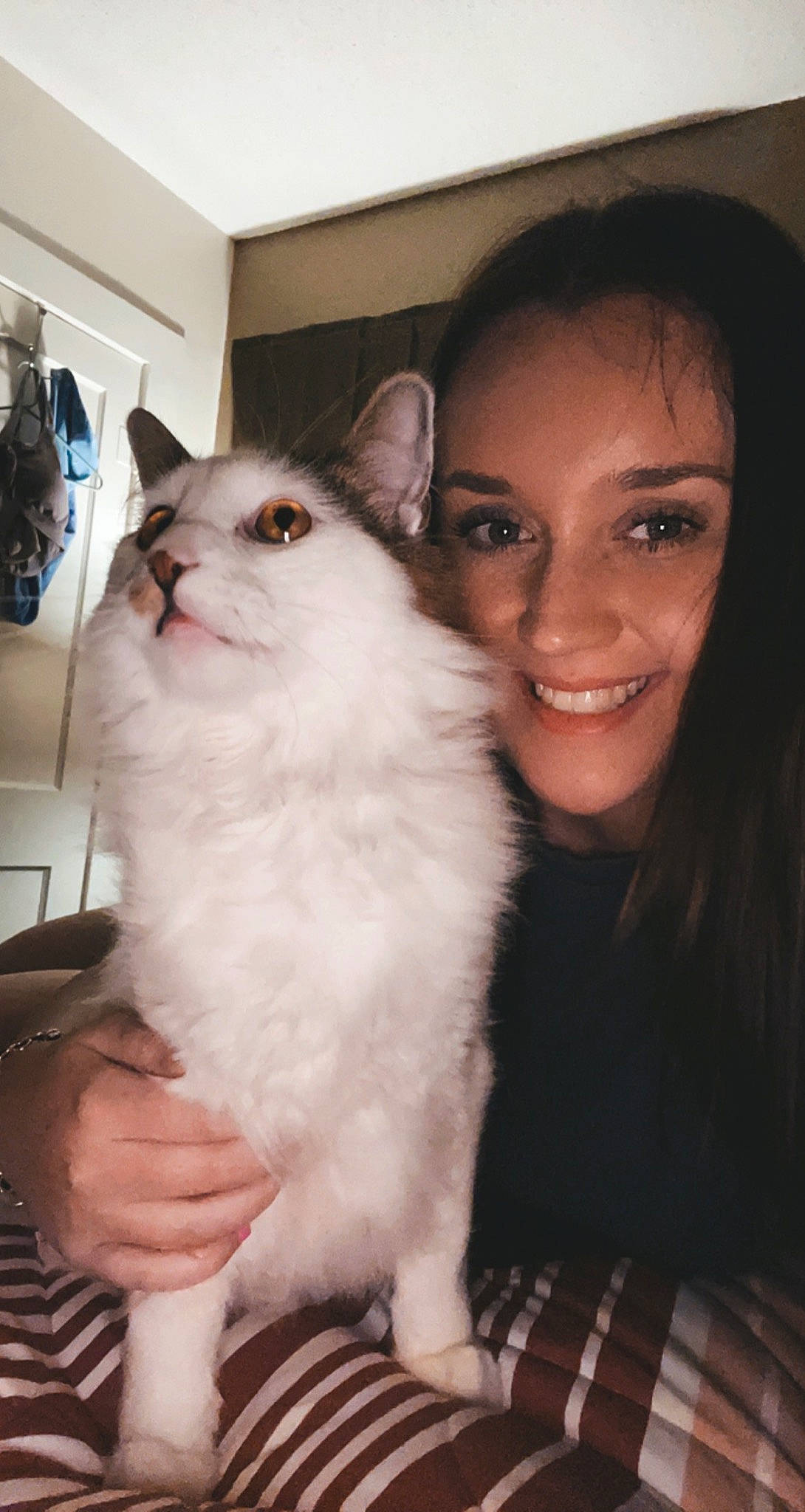 Maylee joined the competition — help win amazing prizes! carnivore, cat, domestic_short_haired_cat, event, eye, eyebrow, eyelash, fawn, felidae, flash_photography, formal_wear, fur, gesture, happy, plaid, skin, small_to_medium_sized_cats, smile, tartan, whiskers