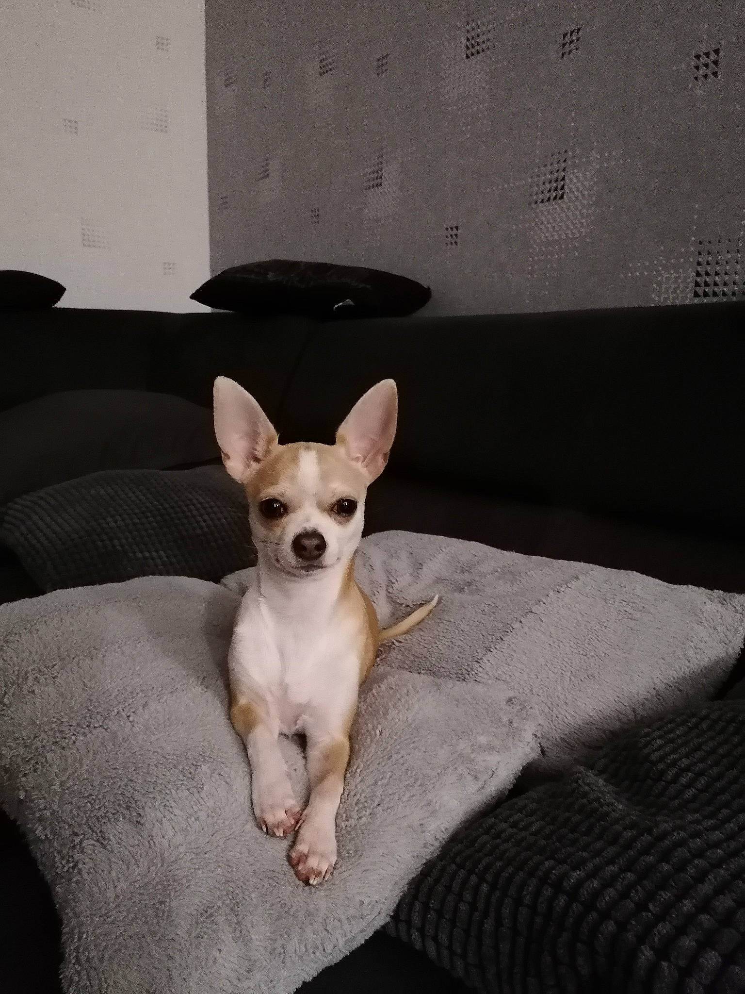 Pablo