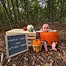Penelope Jane joined the competition — help win amazing prizes! baby, infant, child, pumpkin, autumn, fall, forest, woodland, outdoor, nature, portrait, photoshoot, seasonal, orange, harvest, wooden_crate, basket, letter_board, leaves, sitting
