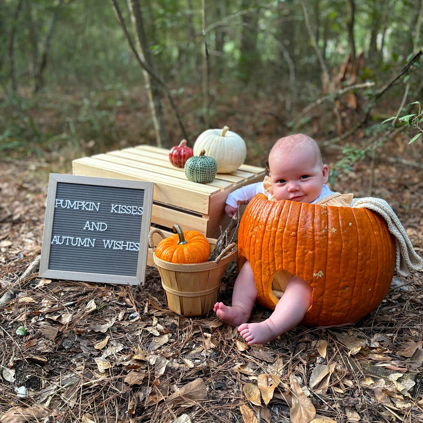 Penelope Jane joined the competition — help win amazing prizes! baby, child, pumpkin, autumn, fall, forest, outdoor, nature, portrait, smiling, infant, harvest, seasonal, wooden_crate, letter_board, sign, leaves, ground, orange, photography