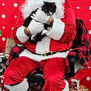 Lilybelle is registered to the contest to win money with this photo: accessories, animal, bag, belt, box, cat, christmas, clothing, face, festival, footwear, glasses, glove, handbag, hat, head, person, pet, santaclaus, shoe