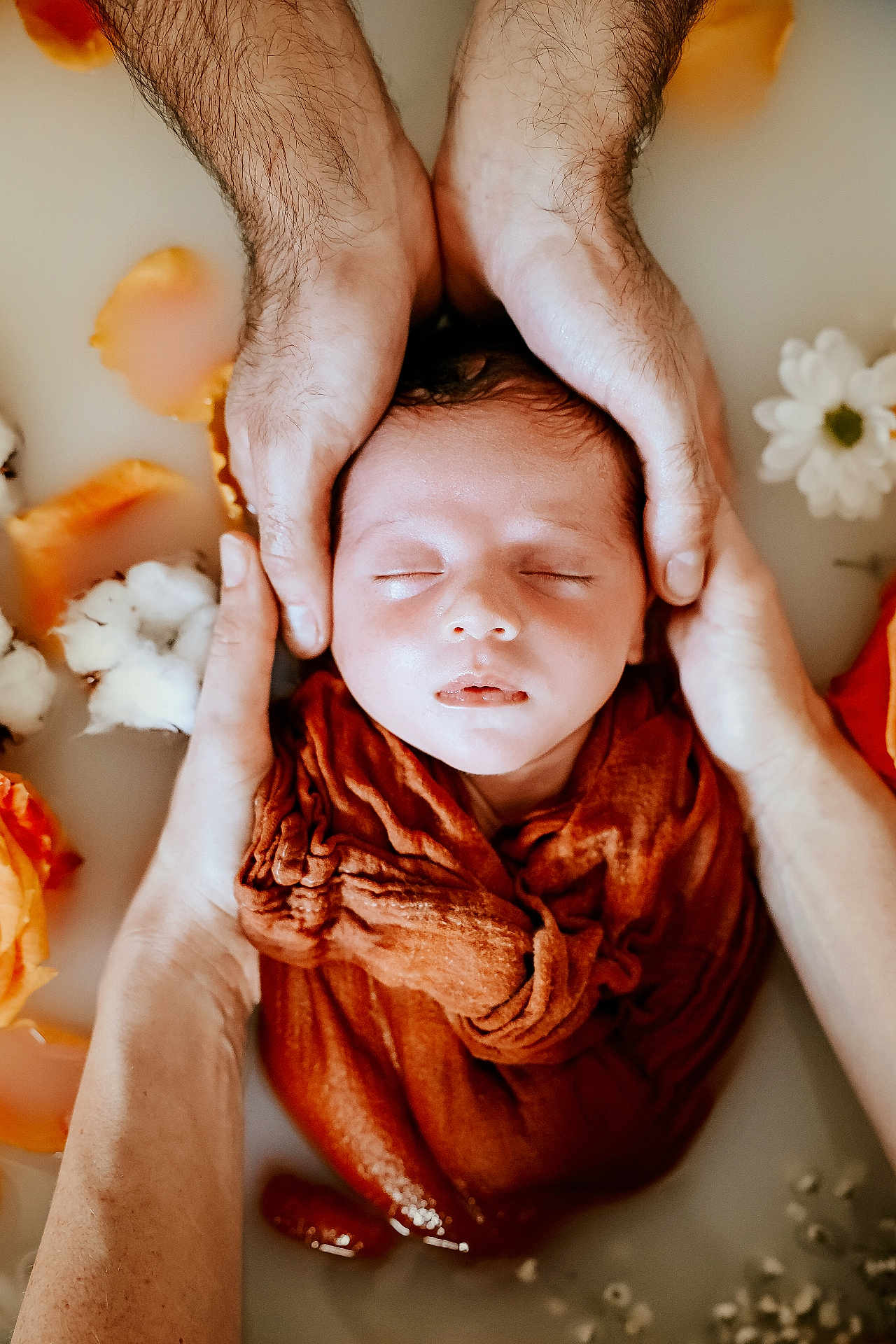 Martin participe au concours pour gagner de l'argent avec cette photo : baby, newborn, sleeping, infant, hands, adult_hands, swaddle, milk_bath, flowers, petals, portrait, closeup, skin, cozy, peaceful, studio_photography, indoor, orange_cloth, flower_bath, head