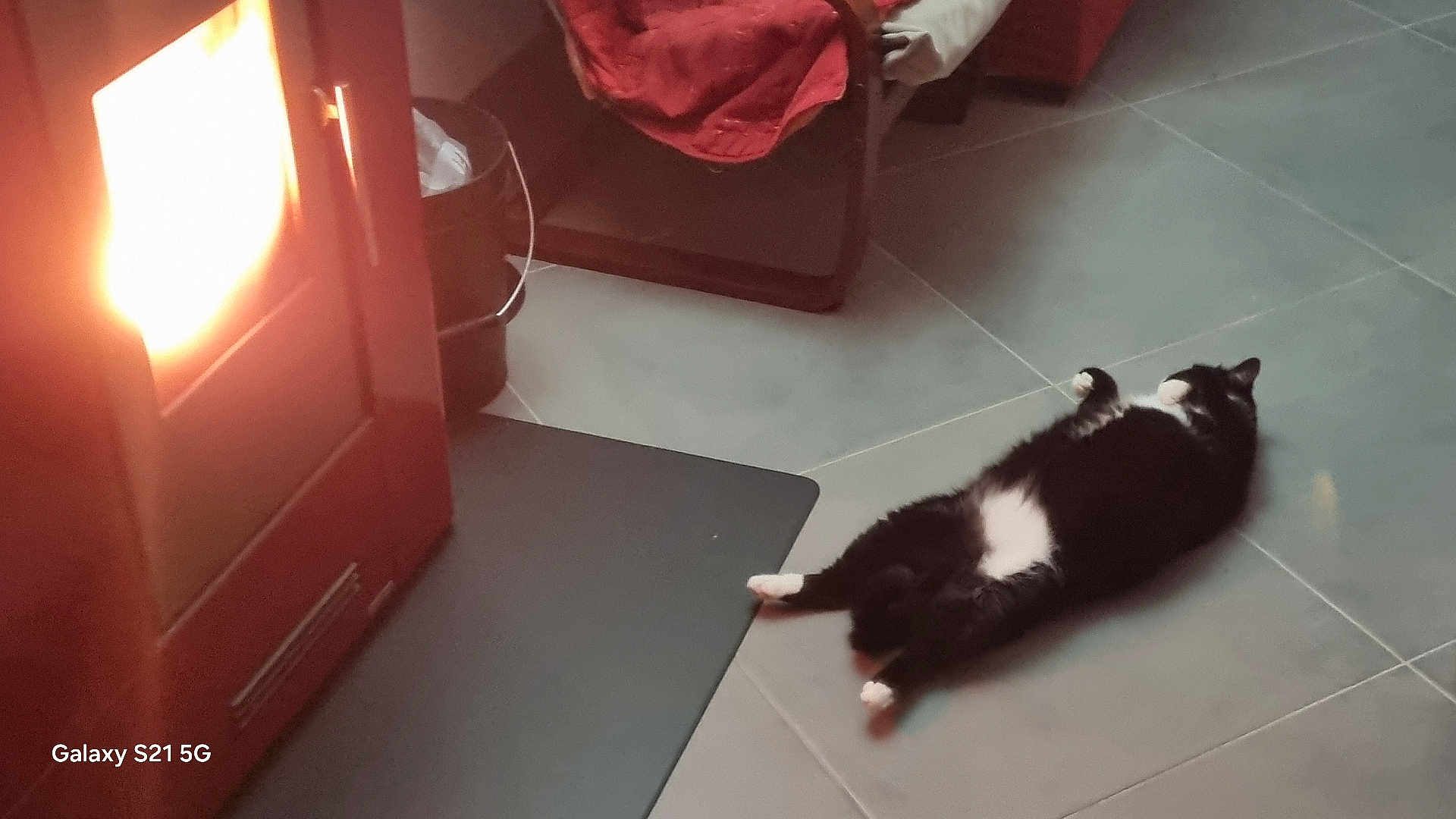 Zoro a rejoint le concours — aidez-le/la à gagner de superbes lots ! cat, indoor, fireplace, floor, relaxed, black_and_white_cat, tile_floor, warm, cozy, chair, bucket, pet, animal, home, resting, feline, comfort, quiet, relaxation, domestic