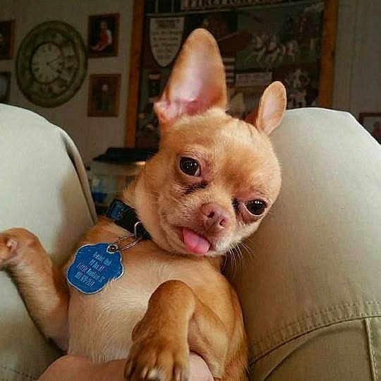 Ernest joined the competition — help win amazing prizes!