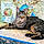 Miss Kitty