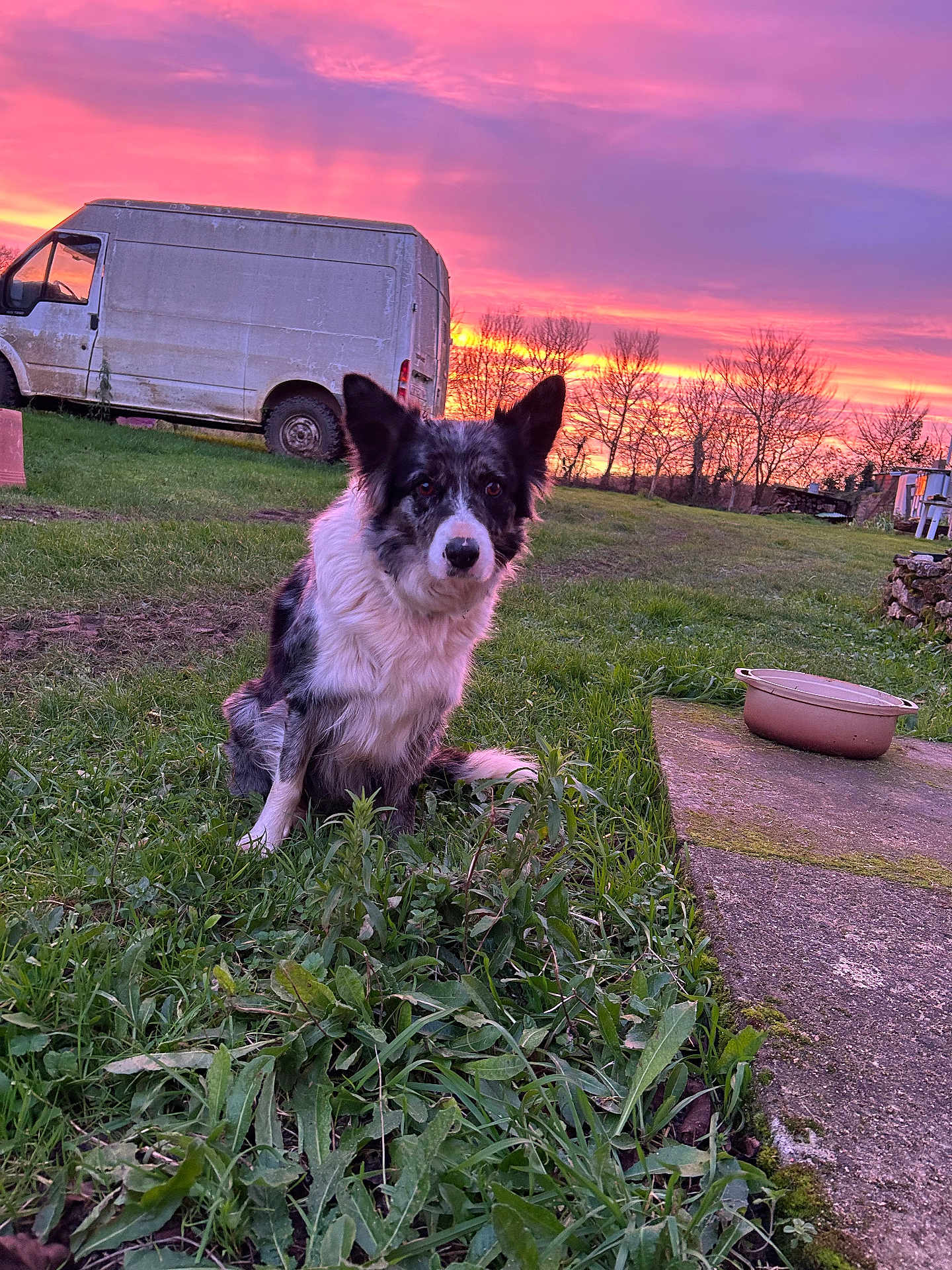 Lilou