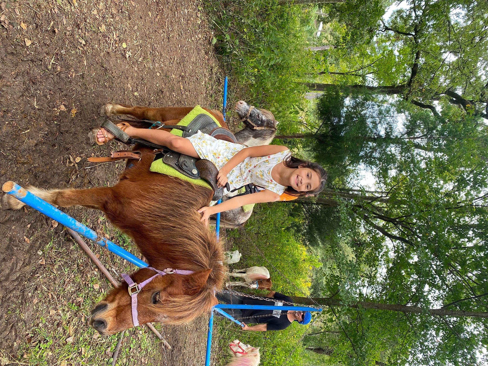 Evangeline is registered to the contest to win money with this photo: adventure, elbow, fun, grass, happy, human_leg, joy, leisure, people_in_nature, person, plant, pole, recreation, soil, thigh, tree