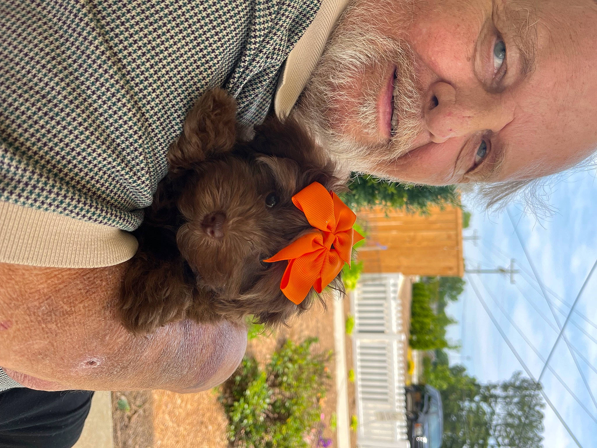 Amber is registered to the contest to win money with this photo: adaptation, beard, beauty, event, eyewear, facial_hair, fun, grass, hairstyle, happy, leisure, moustache, people_in_nature, plant, skin, smile, summer, temple, tree, wrinkle