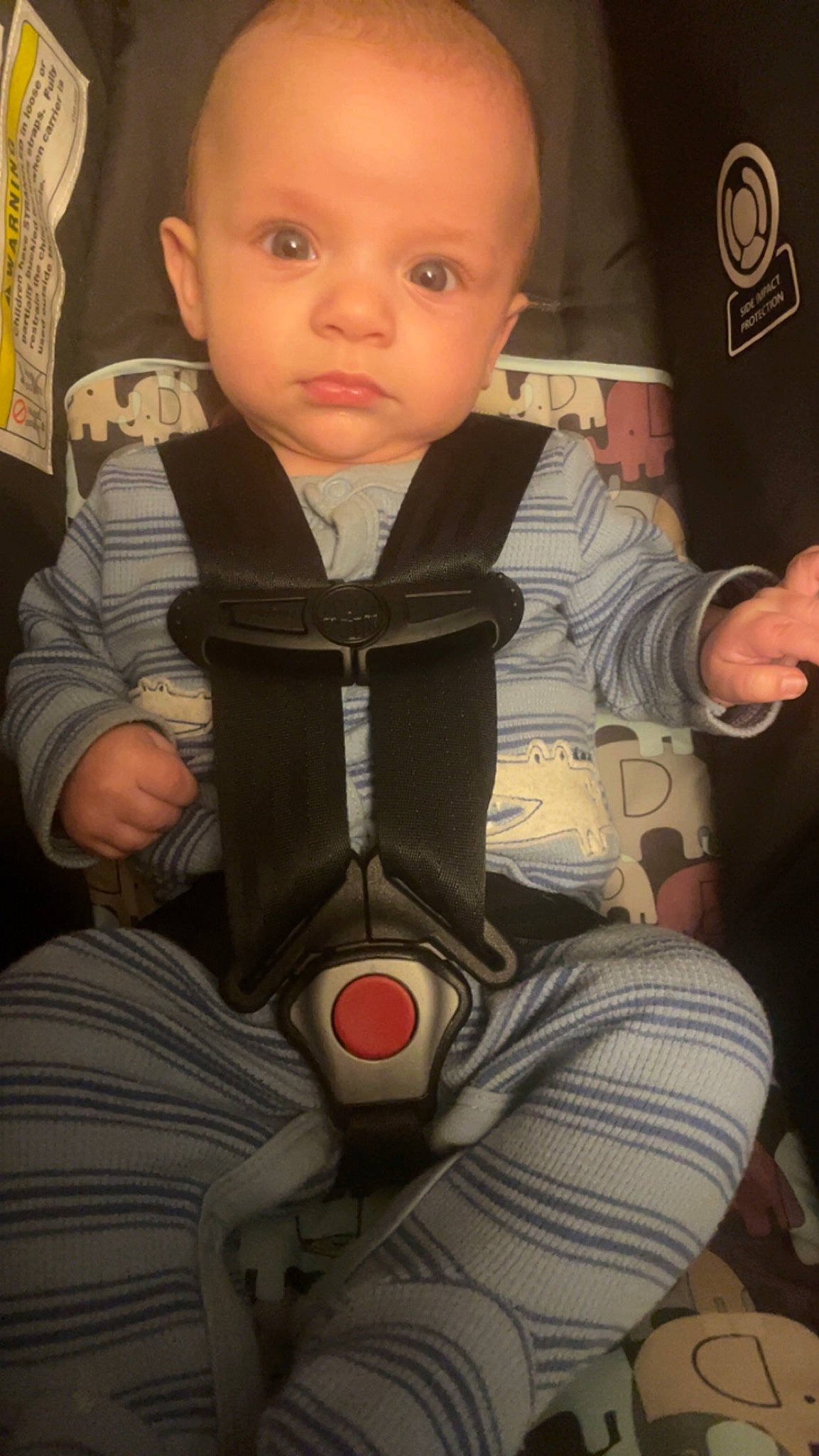 Loki is registered to the contest to win money with this photo: baby, baby_carriage, baby_toddler_clothing, car_seat, carmine, cheek, child, comfort, eye, finger, fun, hairstyle, head, person, personal_protective_equipment, seat_belt, sitting, skin, sleeve, thumb