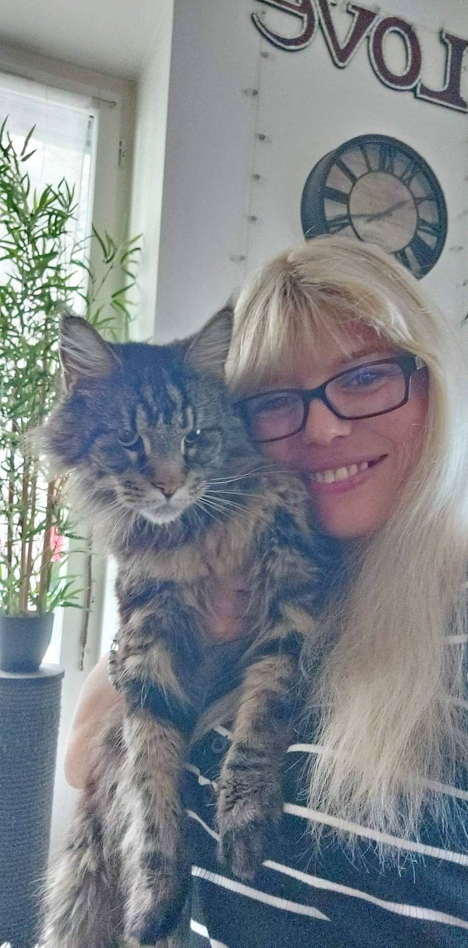 Chatchat participe au concours pour gagner de l'argent avec cette photo : carnivore, cat, clock, domestic_short_haired_cat, eye, eyewear, felidae, flowerpot, fur, glasses, happy, houseplant, iris, long_hair, plant, small_to_medium_sized_cats, smile, snout, vision_care, whiskers