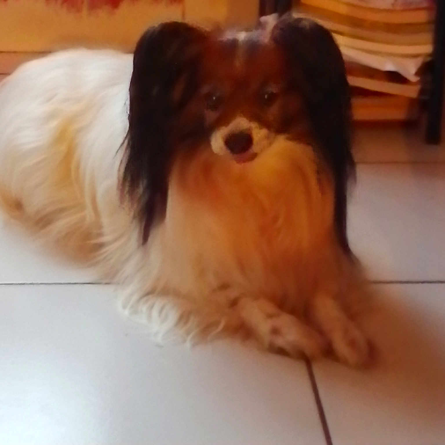 Edwin