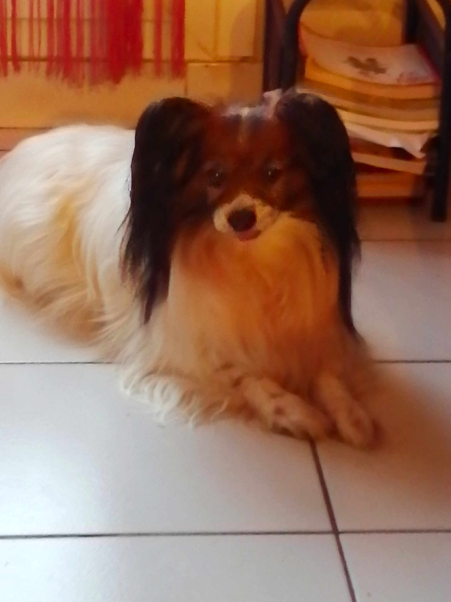 Edwin