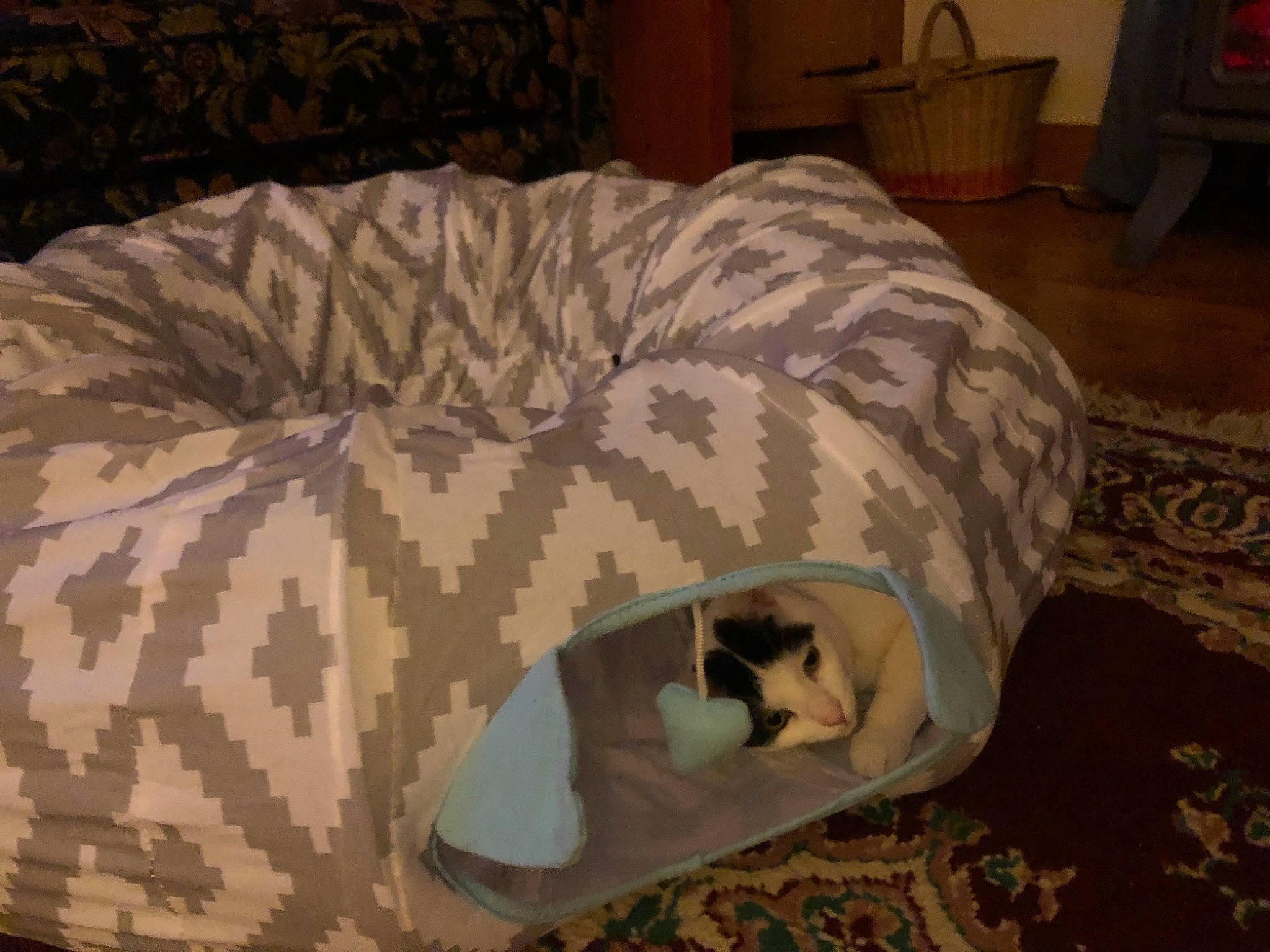 Oreo joined the competition — help win amazing prizes! bed, bed_sheet, bedding, bedroom, cabinetry, camouflage, carnivore, cat, cat_bed, cat_supply, chest_of_drawers, comfort, domestic_short_haired_cat, felidae, linens, pet_supply, room, small_to_medium_sized_cats, vertebrate, whiskers