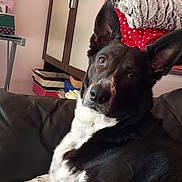 Opaline participe au concours pour gagner de l'argent avec cette photo :