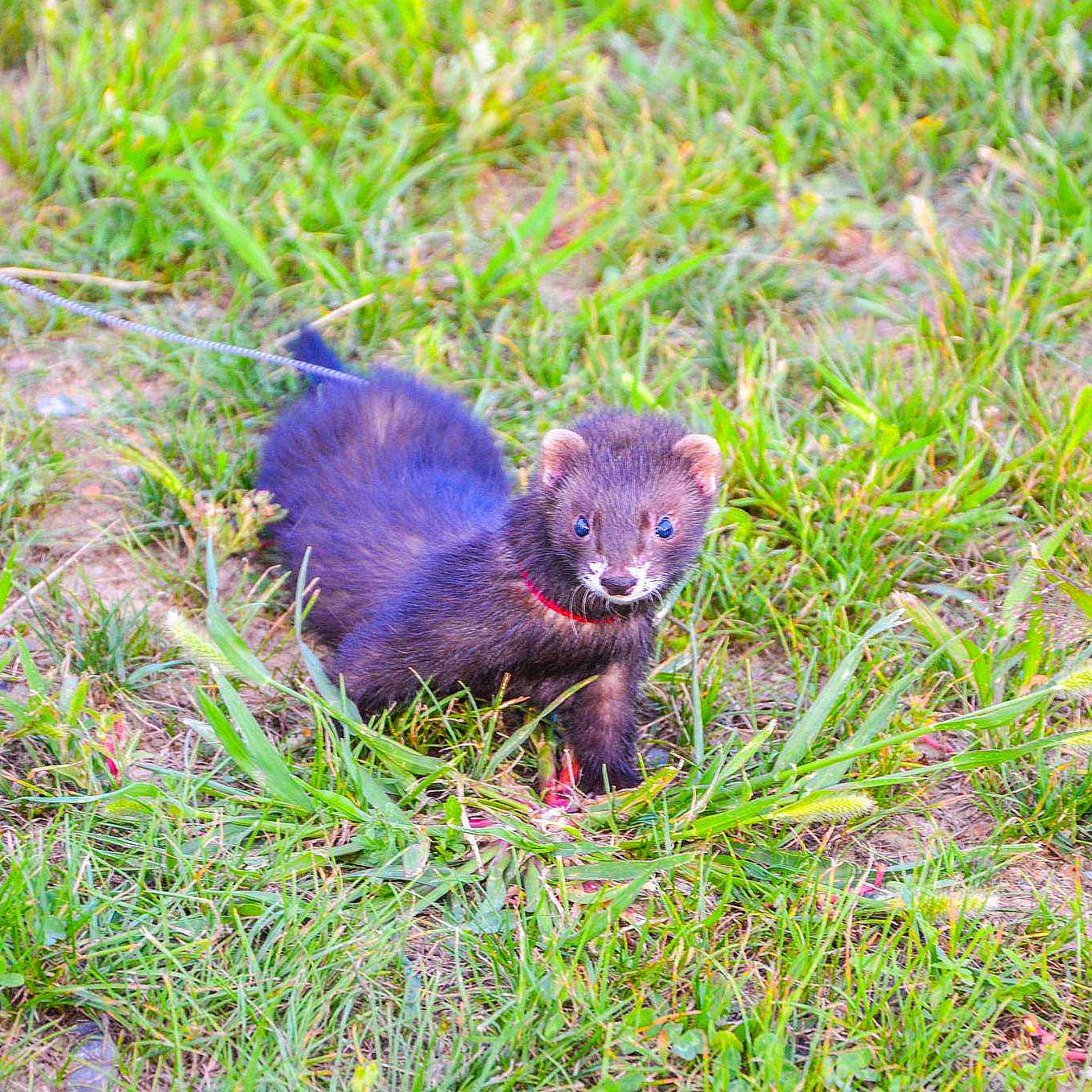 Jad a rejoint le concours — aidez-le/la à gagner de superbes lots !