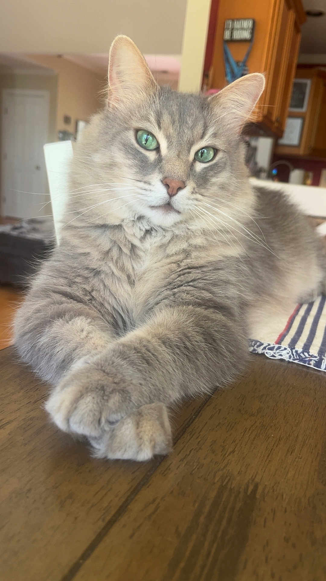 Murphy Lurz