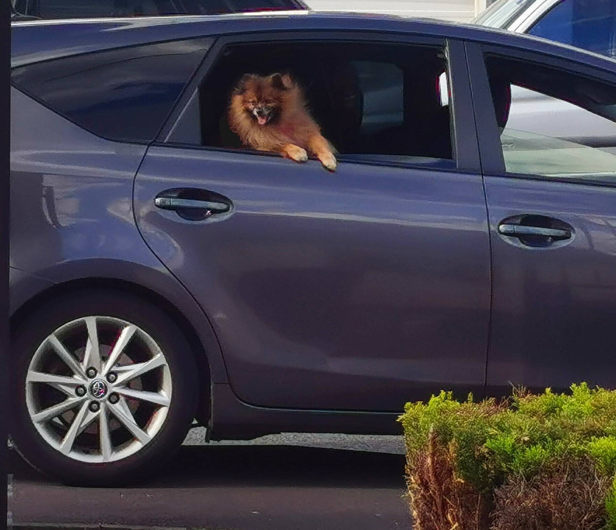 Hermès a rejoint le concours — aidez-le/la à gagner de superbes lots ! alloy_wheel, automotive_design, automotive_exterior, automotive_lighting, automotive_tire, bumper, car, fender, hood, hubcap, land_vehicle, light, motor_vehicle, personal_luxury_car, plant, tire, trunk, vehicle, vehicle_door, wheel