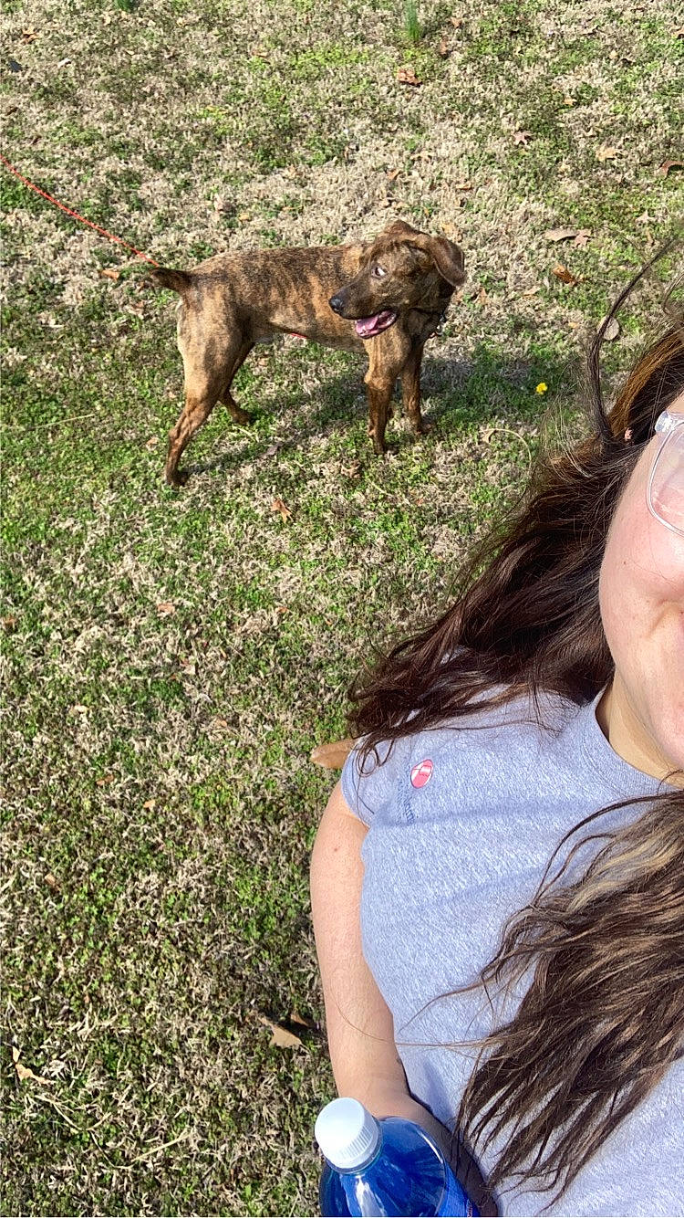 Moose joined the competition — help win amazing prizes! canidae, carnivore, companion_dog, dog, dog_breed, fawn, fun, fur, grass, grass_family, groundcover, happy, lawn, leisure, people_in_nature, plant, sporting_group, t_shirt, tail, vertebrate