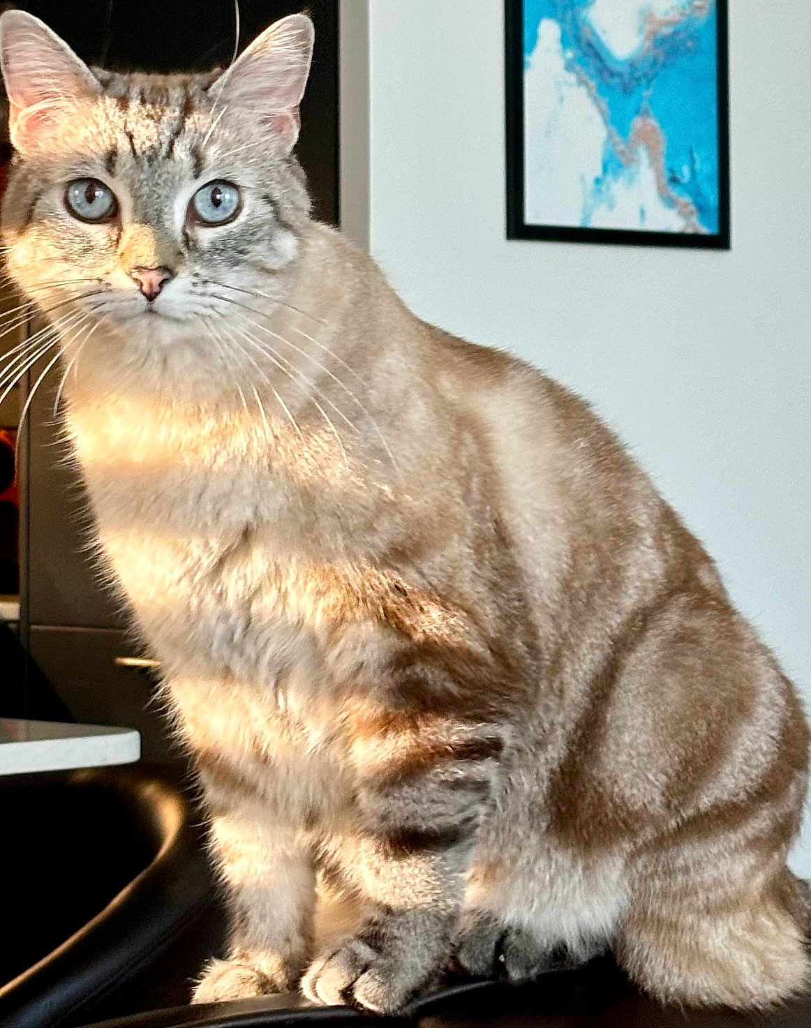 Berlioz