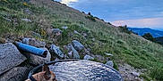Blue a rejoint le concours — aidez-le/la à gagner de superbes lots ! dog, water_tank, grass, rocks, hill, sky, clouds, mountains, outdoor, nature, animal, pet, thirsty, leash, sunset, landscape, field, metal, drinking, evening