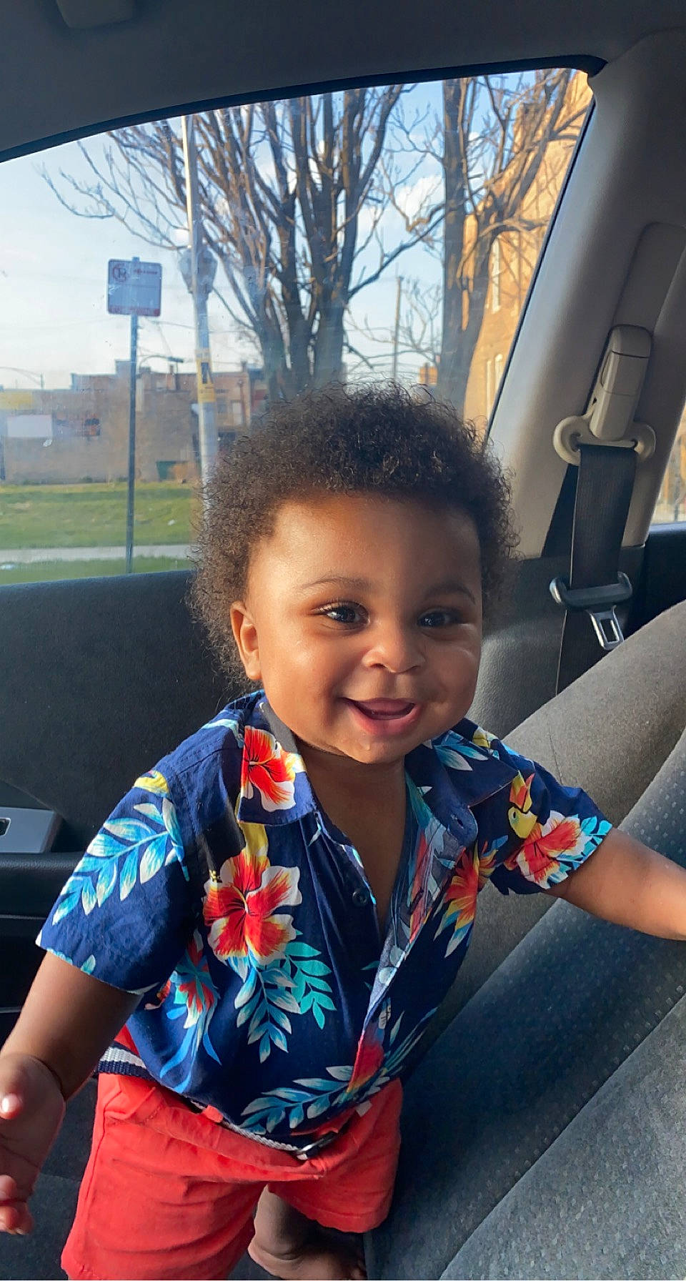 Juelz joined the competition — help win amazing prizes! child, chin, cool, eye, face, finger, fun, happy, head, joy, leisure, person, plant, recreation, sitting, sky, smile, toddler, travel, tree