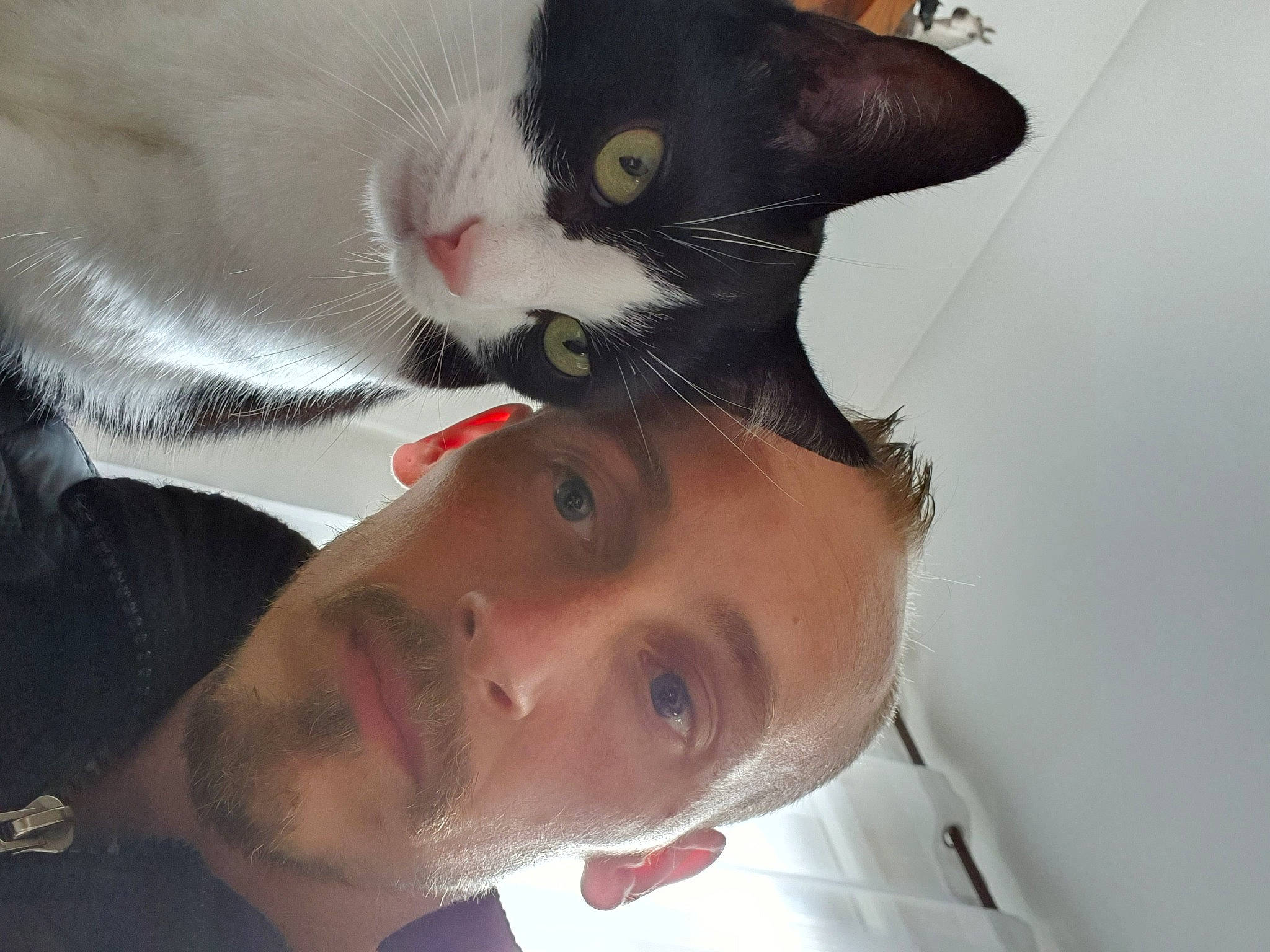 Félix participe au concours pour gagner de l'argent avec cette photo : beard, carnivore, cat, ear, eyebrow, eyelash, facial_hair, felidae, forehead, gesture, glasses, jaw, mouth, neck, nose, skin, small_to_medium_sized_cats, sunglasses, whiskers, white