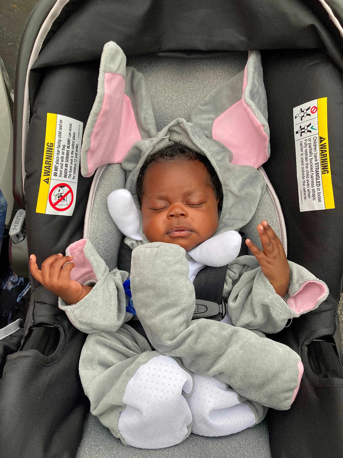 Nicholas joined the competition — help win amazing prizes! baby, sleeping, elephant_costume, car_seat, child, infant, cute, gray, pink, soft, cozy, hands, face, closed_eyes, seatbelt, car, costume, adorable, peaceful, infantwear