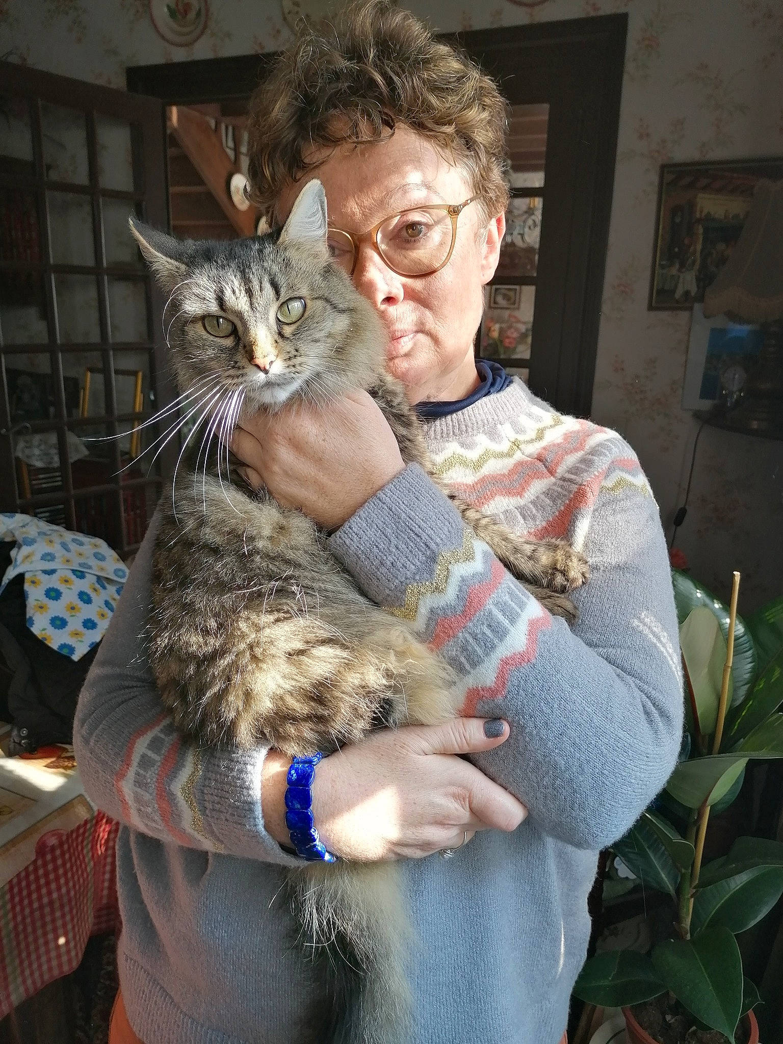 Sarah participe au concours pour gagner de l'argent avec cette photo : carnivore, cat, claw, domestic_short_haired_cat, drinking, eyewear, fawn, felidae, fur, houseplant, lap, pattern, picture_frame, plant, sitting, small_to_medium_sized_cats, vision_care, whiskers, wildlife, wildlife_biologist