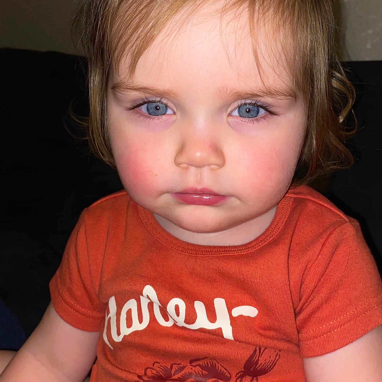 Ava
