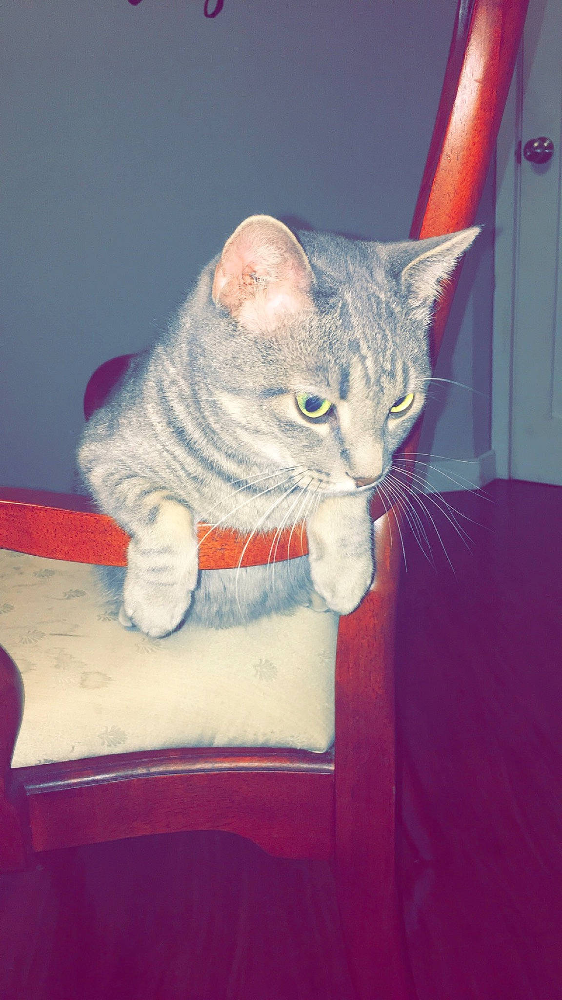 Smokey