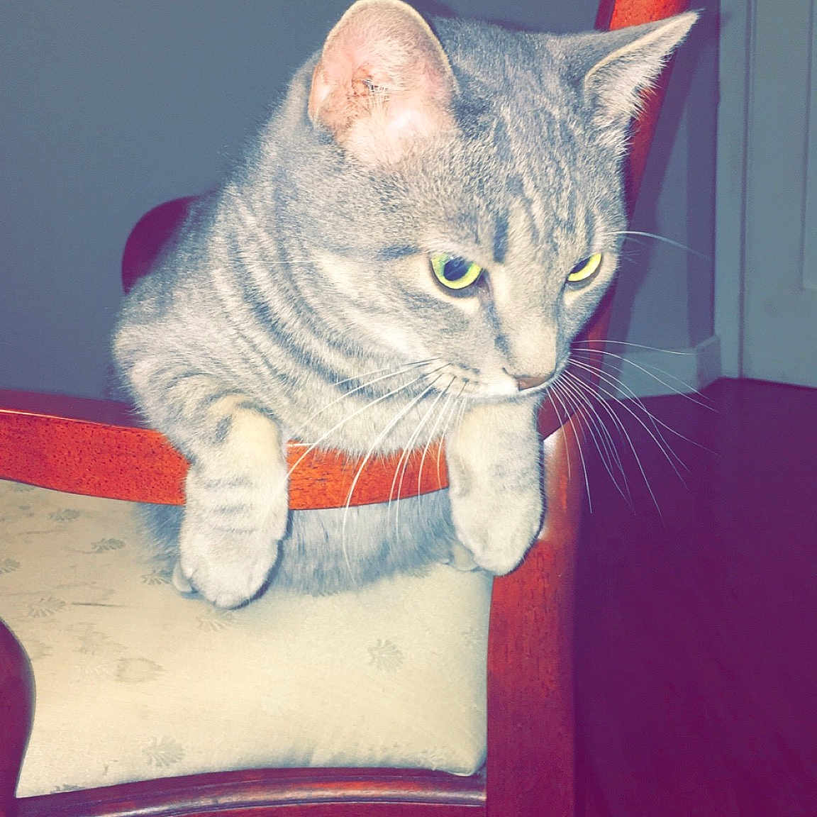 Smokey