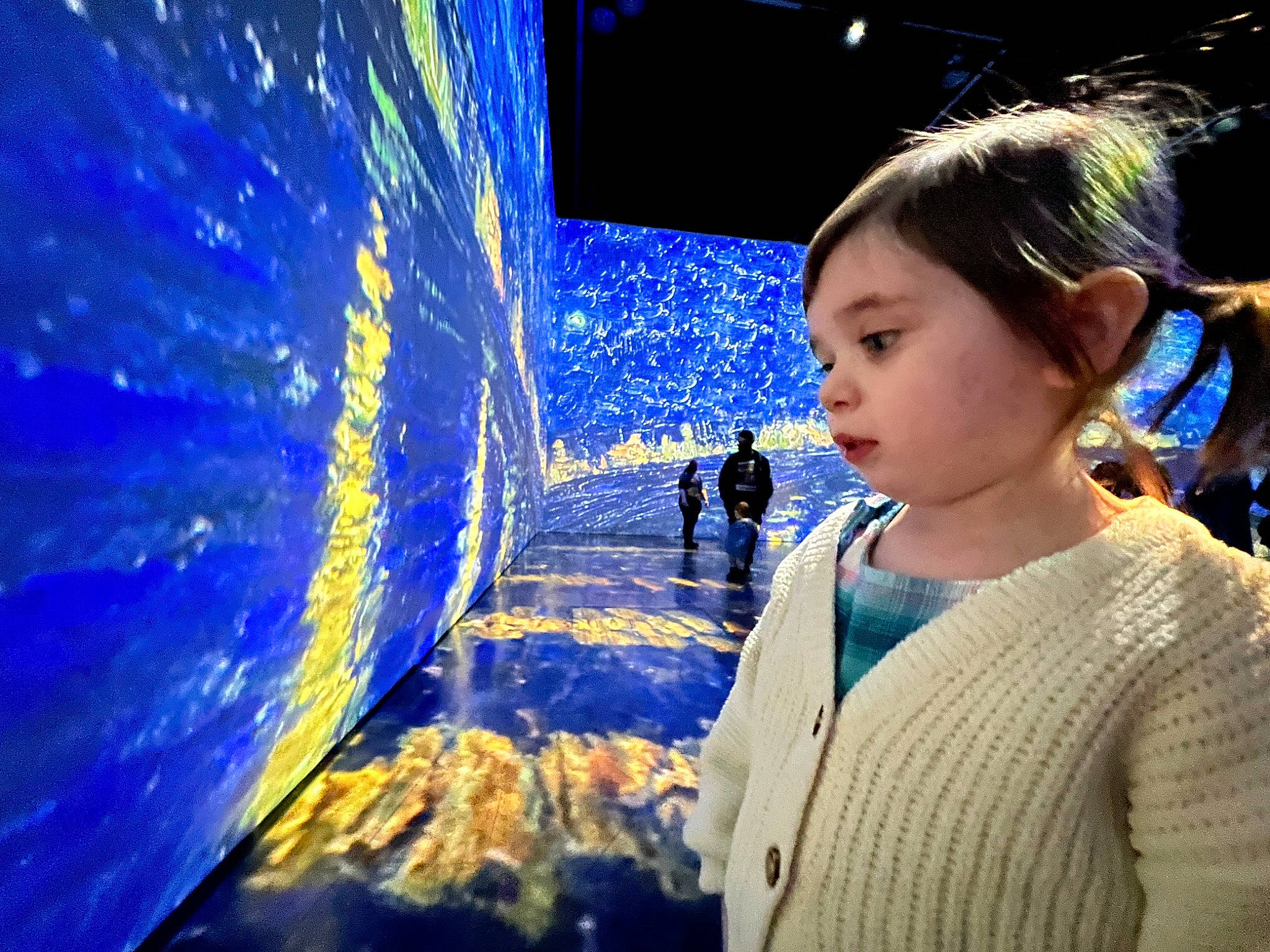 Rayna is registered to the contest to win money with this photo: art, astronomical_object, darkness, electric_blue, entertainment, event, flash_photography, fun, leisure, night, person, recreation, space, toddler, tourist_attraction, visual_arts, winter, world