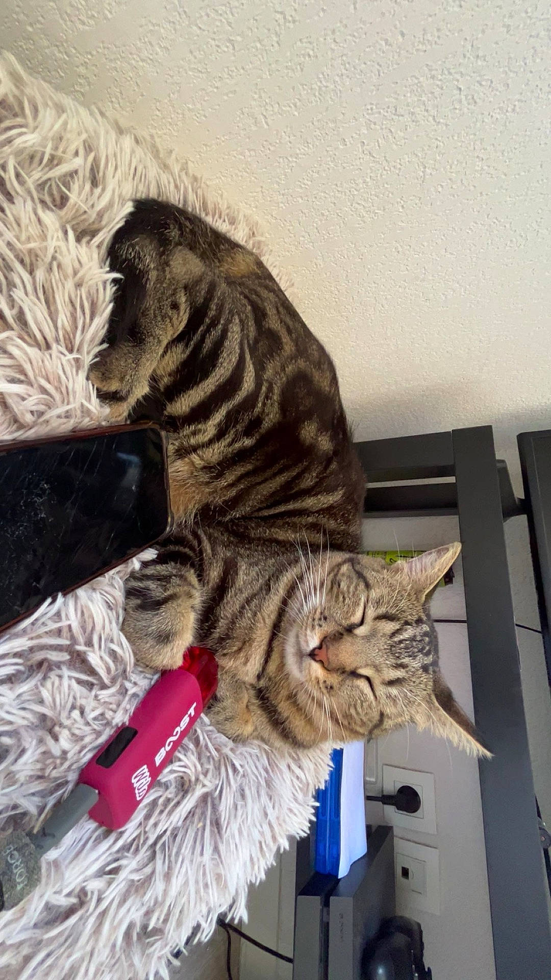 animal, cat, cozy, domestic, ears, fluffy_blanket, furniture, home, indoor, mammal, paw, pet, phone, red_gadget, relaxed, resting, sleeping, striped, tabby, whiskers