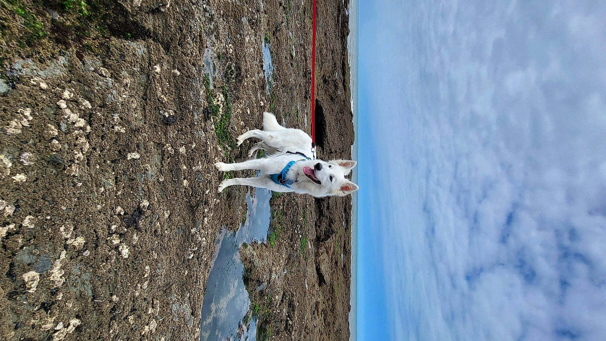Tina a rejoint le concours — aidez-le/la à gagner de superbes lots ! adventure, cliff, cloud, extreme_sport, freezing, fun, landscape, leisure, plant, recreation, reflection, rock, sky, soil, sport_climbing, tree, trunk, water, winter, wood