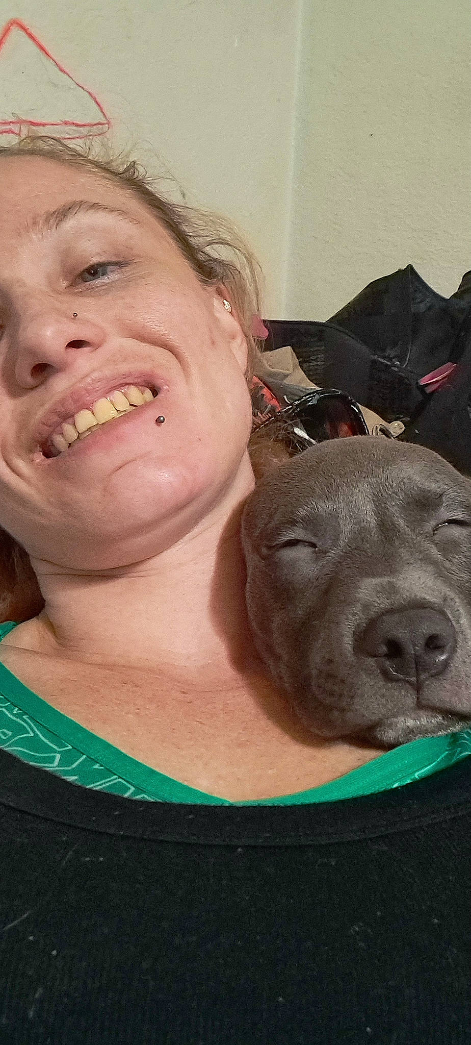 Hugo is registered to the contest to win money with this photo: canidae, carnivore, chest, companion_dog, dog, dog_breed, ear, earrings, eyelash, fawn, fun, happy, jaw, nose, selfie, snout, sporting_group, throat, working_animal, wrinkle