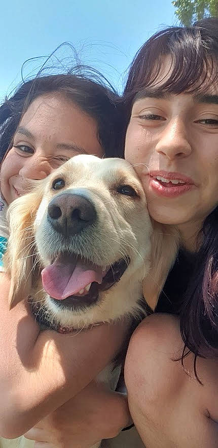 Oxane participe au concours pour gagner de l'argent avec cette photo : carnivore, dog, dog_breed, ear, eye, eyewear, face, gesture, hair, happy, head, jaw, mouth, nose, organ, skin, sky, smile, sunlight, travel