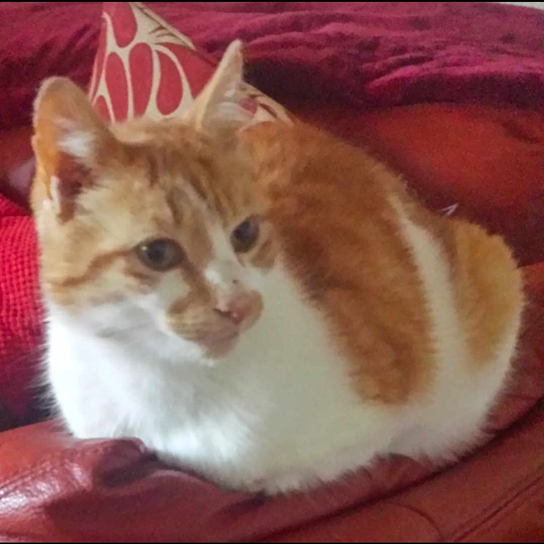 Felix