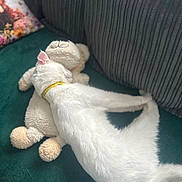 Blaise is registered to the contest to win money with this photo: cat, white_cat, stuffed_animal, plush_toy, couch, green_couch, relaxed, sleeping, pet, fur, cozy, indoor, animal, sleep, cute, soft_texture, domestic_cat, resting, yellow_collar, feline