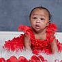 Honor is registered to the contest to win money with this photo: baby, child, red_dress, floral, crawling, curious, expression, white_fur, studio, portrait, adorable, infant, cute, background, floor, young, person, clothing, face, photography