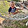 Liam