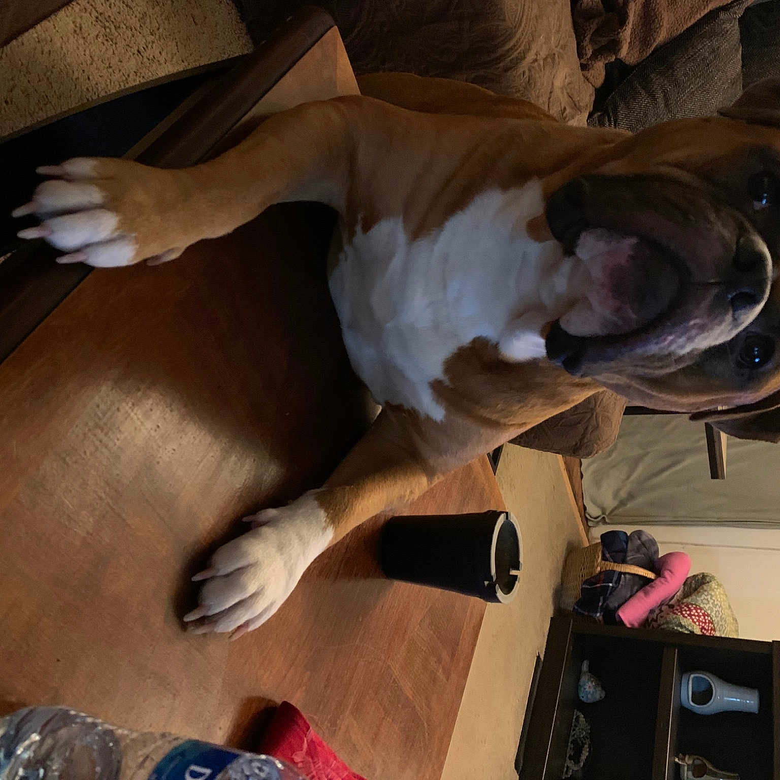 Cooper