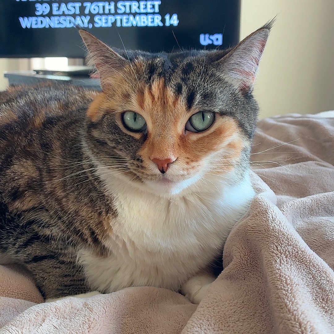 Luna