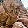 Ginger