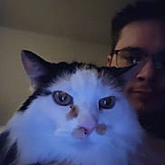 Amber is registered to the contest to win money with this photo: cat, person, glasses, face, close_up, indoor, pet, fur, whiskers, black_and_white, brown_spots, portrait, dim_lighting, blurry, cute, animal, companion, feline, indoor_lighting, human