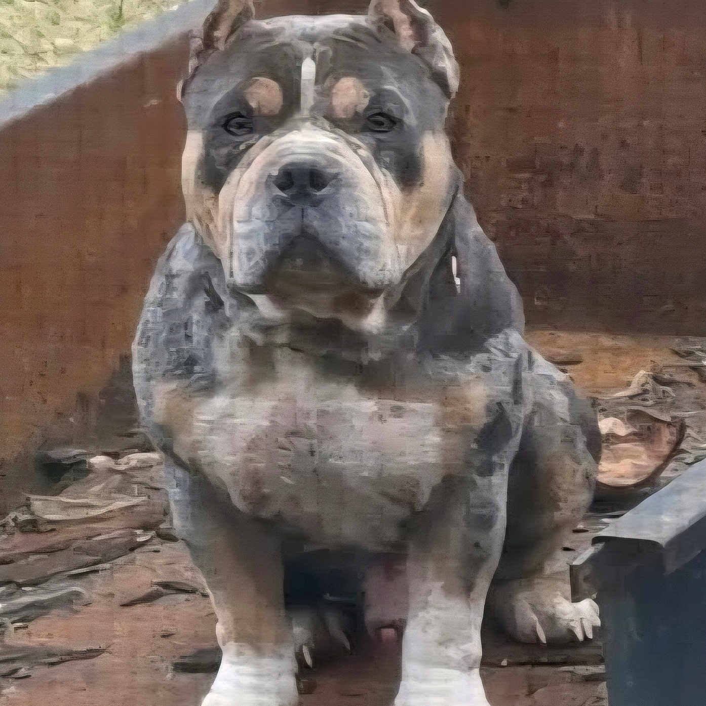 Benny