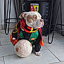 dog, bulldog, scarf, soccer_ball, sports_jersey, indoor, tile_floor, black_furniture, sports_team_logo, pet, animal, white_and_brown, sitting, looking_away, home_interior, decor, loyal, fan, portrait, cute